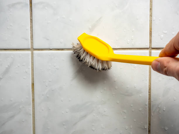 Best Best Mold Removal Companies  in Jim Thorpe, PA