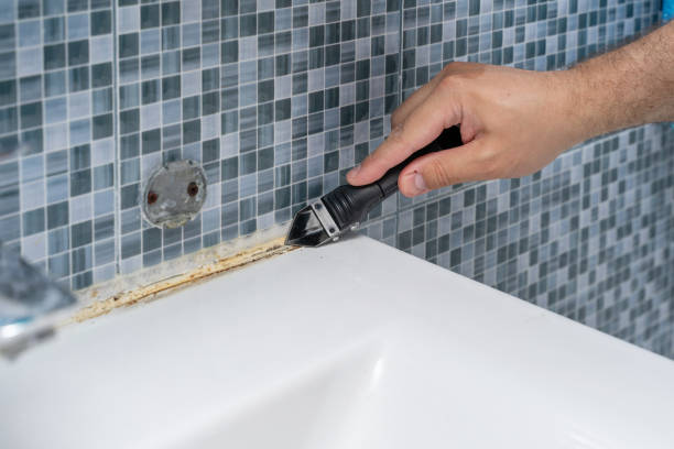 Best Residential Mold Removal  in Jim Thorpe, PA